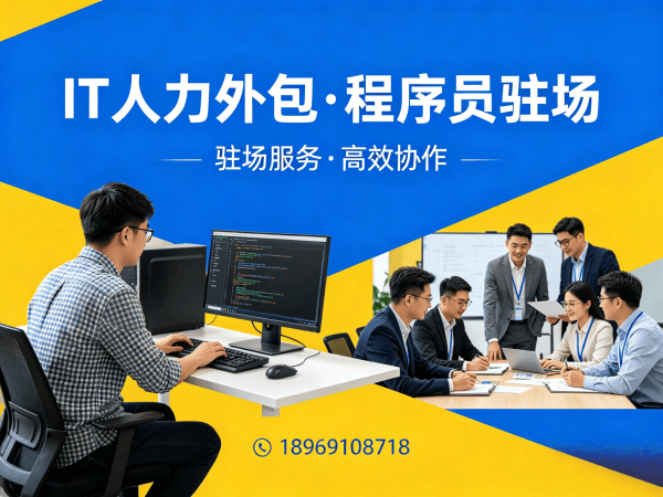 苏州IT人力外包解决方案：破解企业技术人才短缺难题