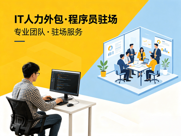 西安大数据开发程序员外包技术支持全解析，专业IT人力外包解决方案