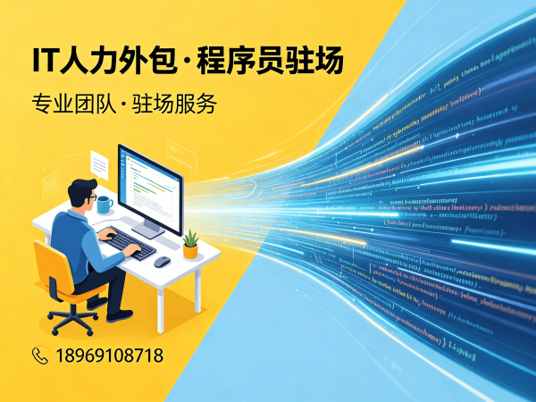 天津大数据开发程序员外包服务指南：增值服务全解析